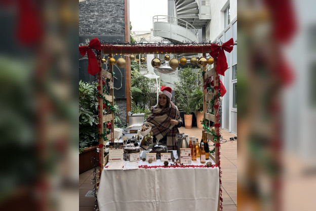 Le marché de Noël du 15 au 17 décembre 2024 au Renaissance République - IMG 8967