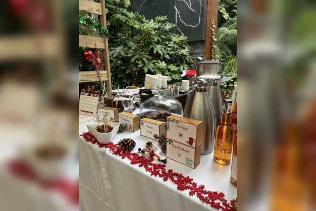 Le marché de Noël du 15 au 17 décembre 2024 au Renaissance République - IMG 9011