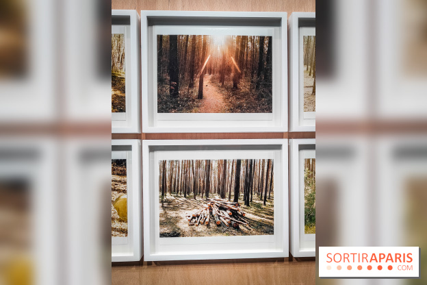 I need to live, l'exposition surprenante de Juergen Teller à voir au Grand Palais Ephémère à Paris