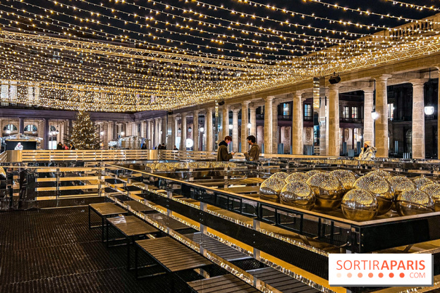 La Patinoire AMI Paris au Palais Royal - image00020