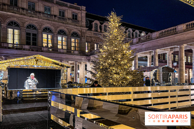 La Patinoire AMI Paris au Palais Royal - image00024