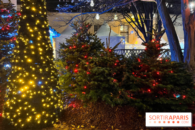 Bel Hiver 2023 à Saint-Denis - nos photos - image00013