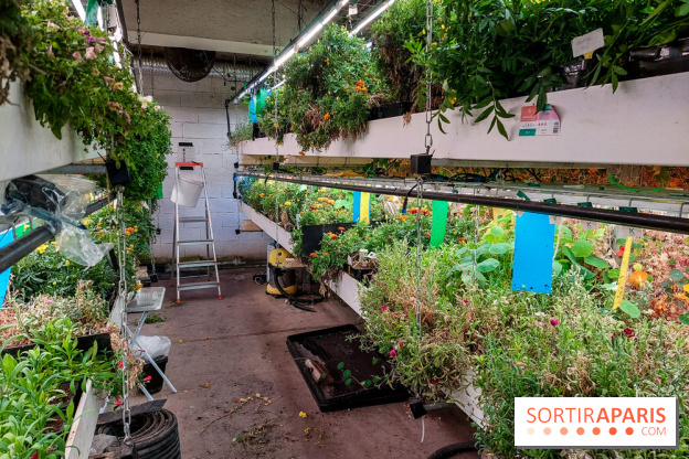 La Caverne, ferme urbaine bio à Paris, nos photos - 20240122 145108