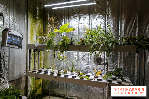 La Caverne, ferme urbaine bio à Paris, nos photos - IMG 2208