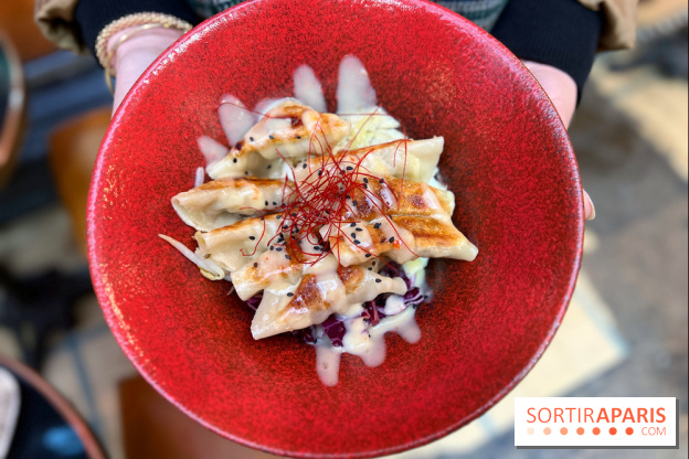 Gyoza Bar - Gyozas porc