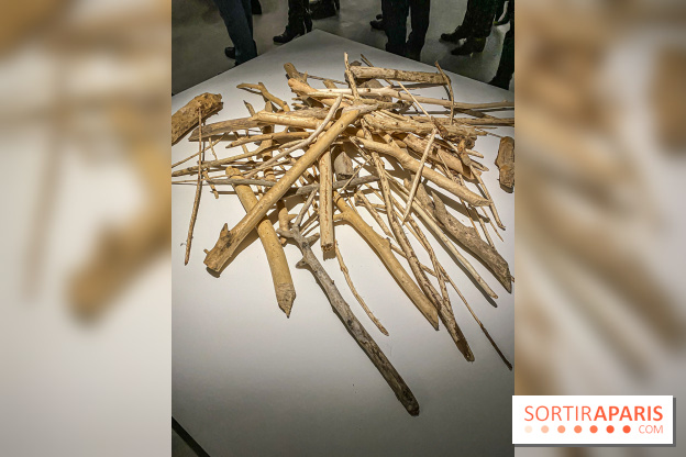 Suzanne Husky au Drawing Lab - IMG 4189