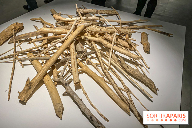 Suzanne Husky au Drawing Lab - IMG 4190