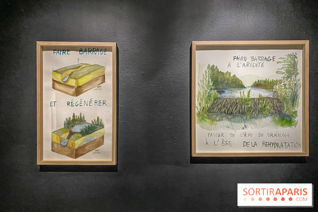 Suzanne Husky au Drawing Lab - IMG 4198