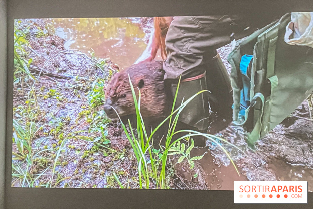 Suzanne Husky au Drawing Lab - IMG 4206