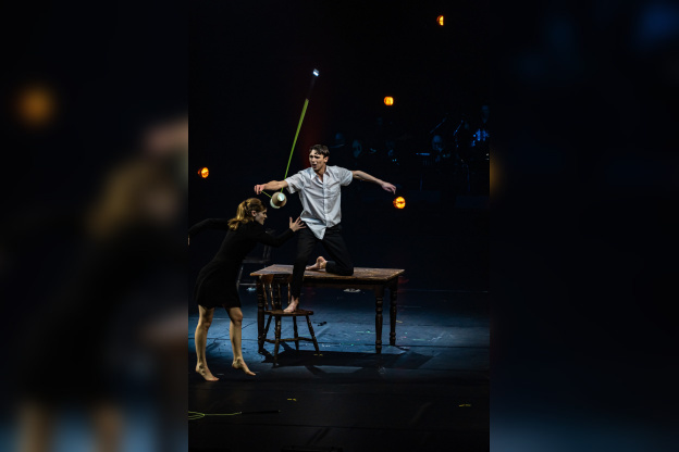 Festival Mondial du Cirque de Demain 2024, les photos