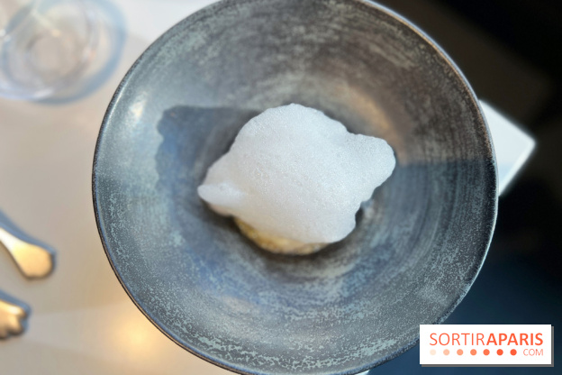 Vaisseau d'Adrien Cachot - Cabillaud