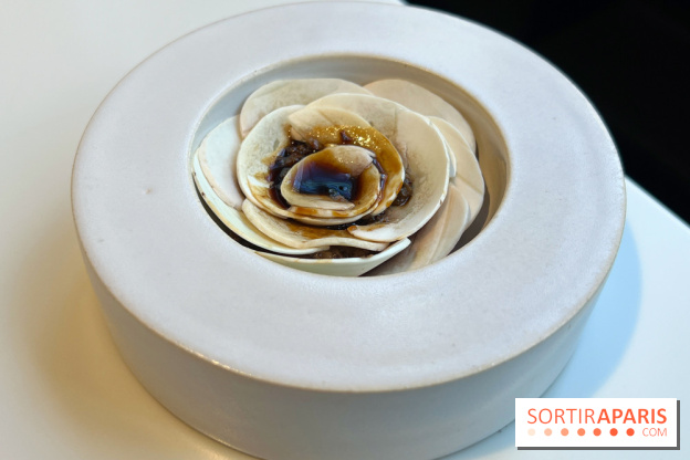 Vaisseau d'Adrien Cachot - Champignons