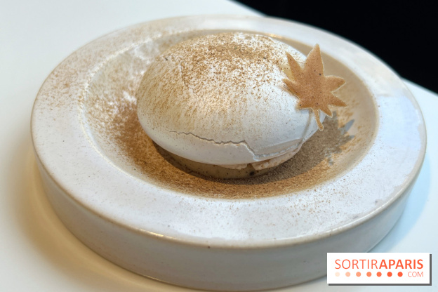 Vaisseau d'Adrien Cachot - Mont Blanc champignons