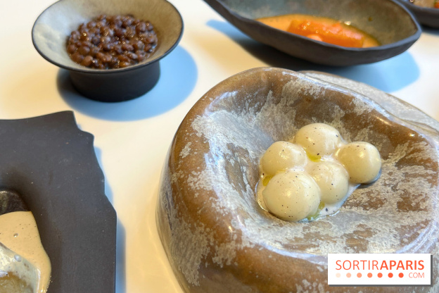 Vaisseau d'Adrien Cachot - Mochi