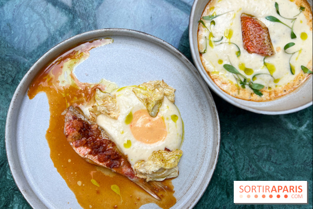 Halo de Victor Blanchet - Rouget et jus de bouillabaisse