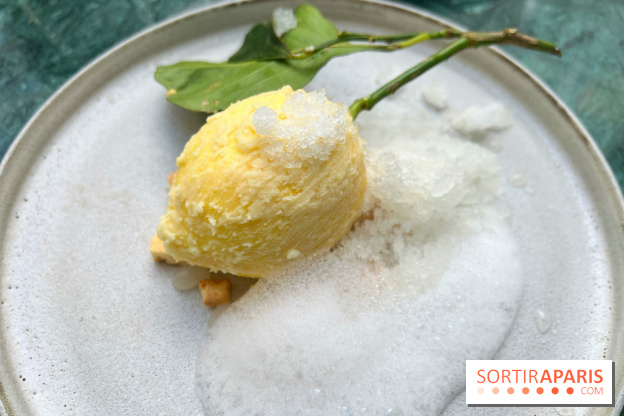 Halo de Victor Blanchet - Citron réaliste