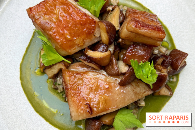 Halo de Victor Blanchet - Selle d'agneau