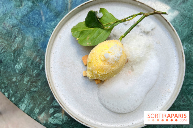 Halo de Victor Blanchet - Citron réaliste