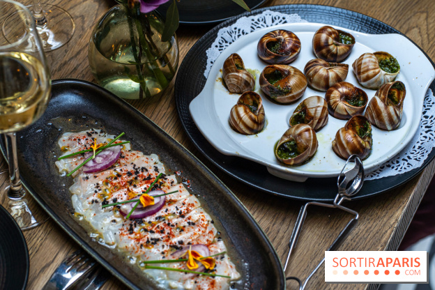 Les Chouettes restaurant  -  A7C3286