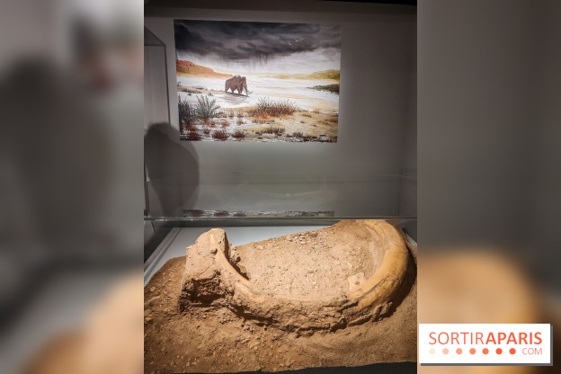 Dans la Seine : une expo de la Crypte archéologique dévoile les objets retrouvés dans la Seine  - IMG20240130094823