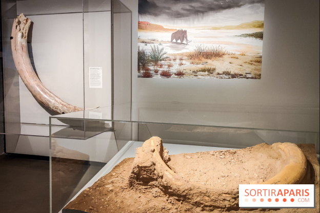 Dans la Seine : une expo de la Crypte archéologique dévoile les objets retrouvés dans la Seine  - IMG20240130101744