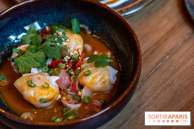 Little Bambou, le nouveau restaurant thaï de Trocadéro -  raviolis