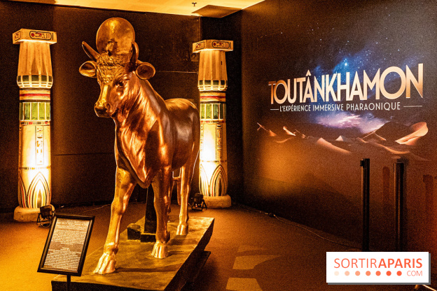 Toutankhamon, l'expérience immersive Pharaonique - les photos