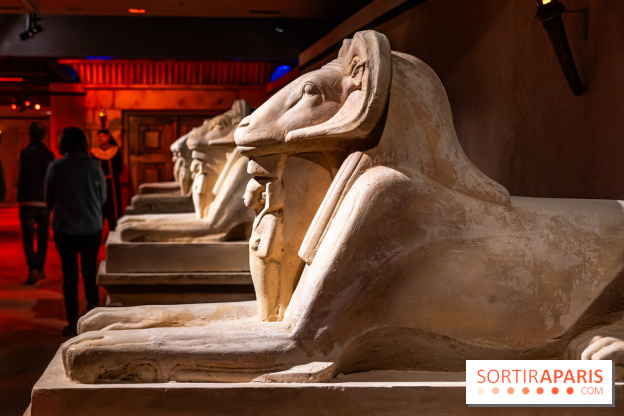 Toutankhamon, l'expérience immersive Pharaonique - les photos -  A7C4229