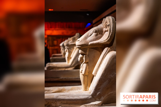 Toutankhamon, l'expérience immersive Pharaonique - les photos -  A7C4230