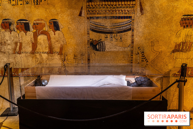 Toutankhamon, l'expérience immersive Pharaonique - les photos -  A7C4255