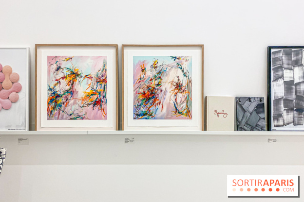 Exposition Perrotin Editions : Tous Collectionneurs ! à la galerie Perrotin - IMG 4267