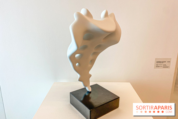 Exposition Perrotin Editions : Tous Collectionneurs ! à la galerie Perrotin - IMG 4319