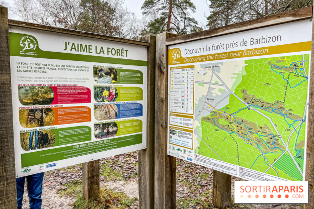 Le sentier de l'érosion à Fontainebleau - balade en forêt