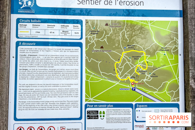 Le sentier de l'érosion à Fontainebleau - balade en forêt