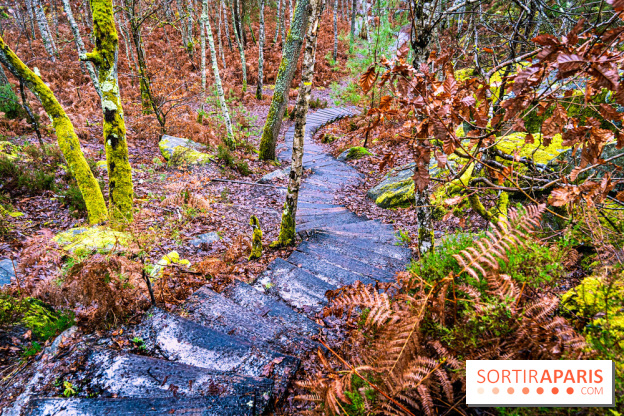 Le sentier de l'érosion à Fontainebleau - balade en forêt