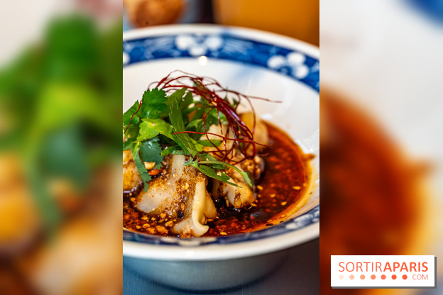 Nouilles Ban Ban restaurant  -  raviolis