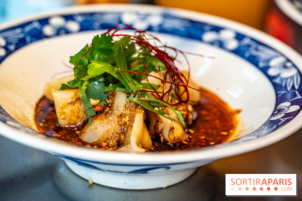 Nouilles Ban Ban restaurant  -  raviolis