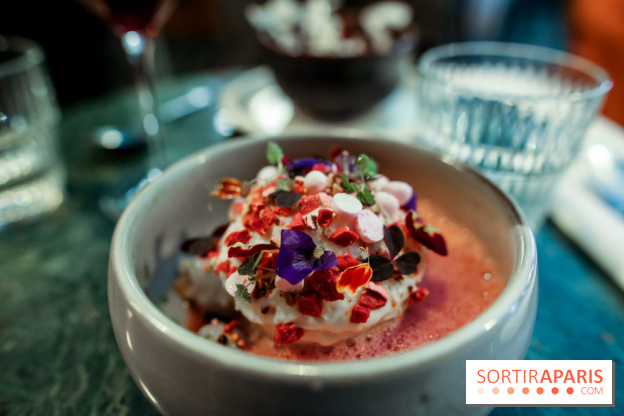 Calice à Paris, nos photos - IMG 2489