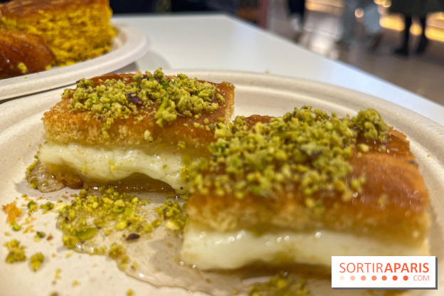 Maison Hallab - nos photos - image00012