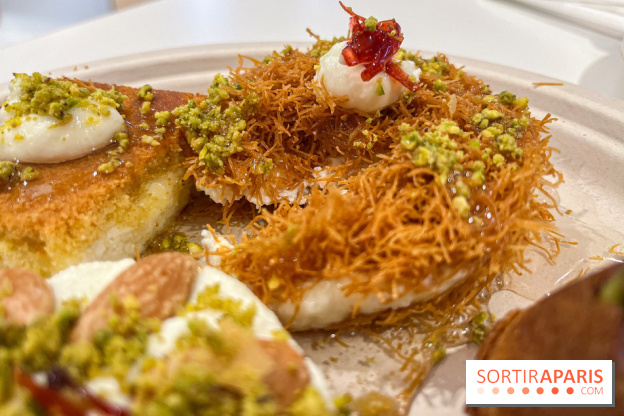 Maison Hallab - nos photos - image00013