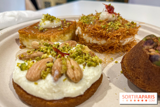 Maison Hallab - nos photos - image00015