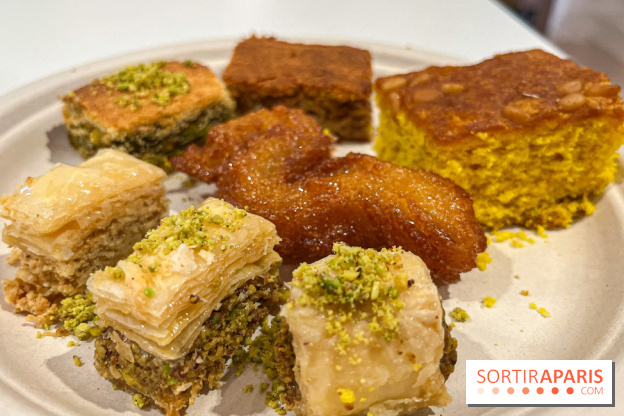 Maison Hallab - nos photos - image00018