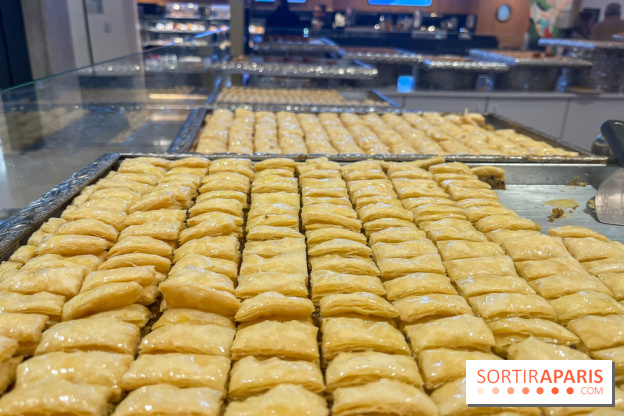 Maison Hallab - nos photos - image00006