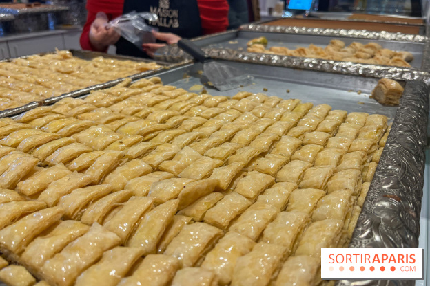 Maison Hallab - nos photos - image00008