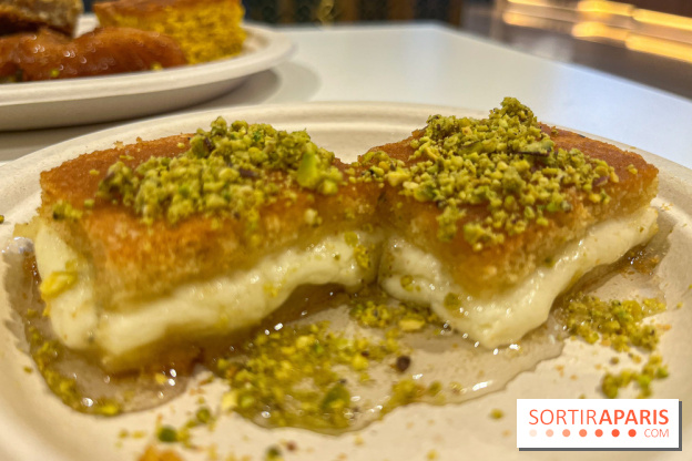 Maison Hallab - nos photos - image00009