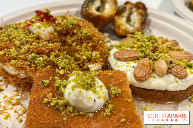 Maison Hallab - nos photos - image00011