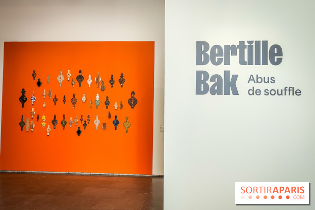 Abus de souffle, l'exposition photo humaniste et engagée de Bertille Bak se dévoile au Jeu de Paume - IMG20240212110641