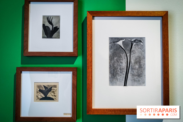 Tina Modotti : l'exposition photo rétrospective au Jeu de Paume - nos photos