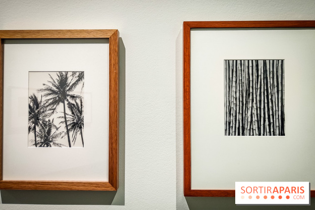 Tina Modotti : l'exposition photo rétrospective au Jeu de Paume - nos photos - IMG20240212100339