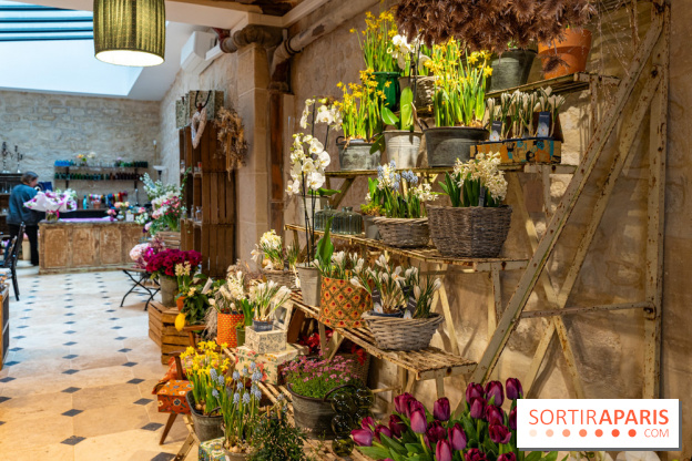 Cordelia Castellane Coffee Flower Shop -  A7C6105